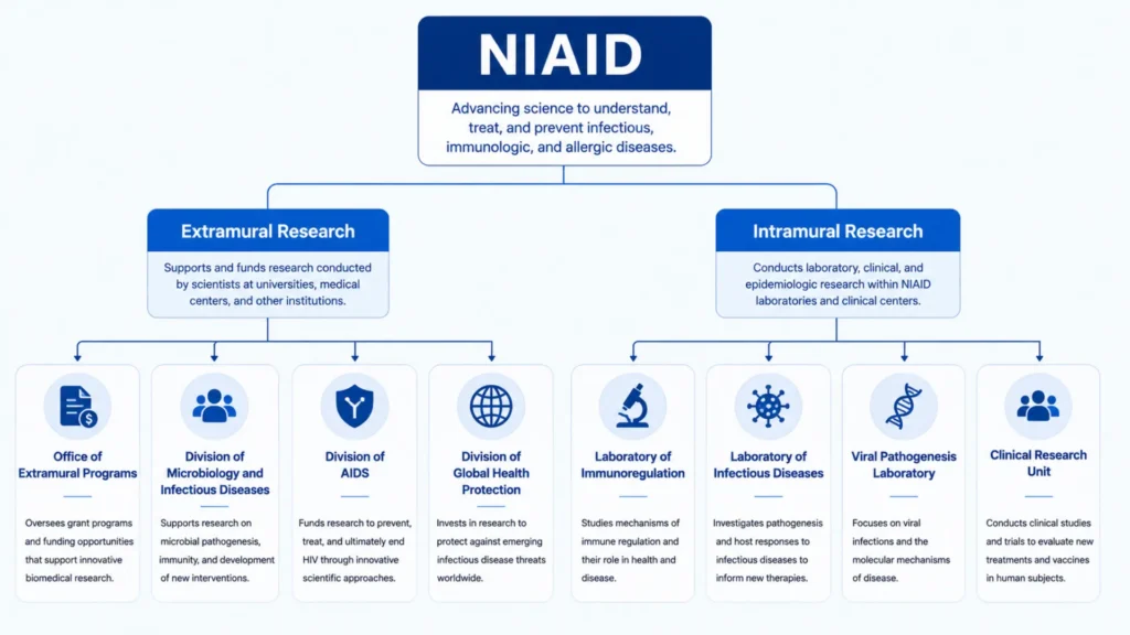 how niaid is organised between extramural and intramural research how niaid is organised between extramural and intramural research